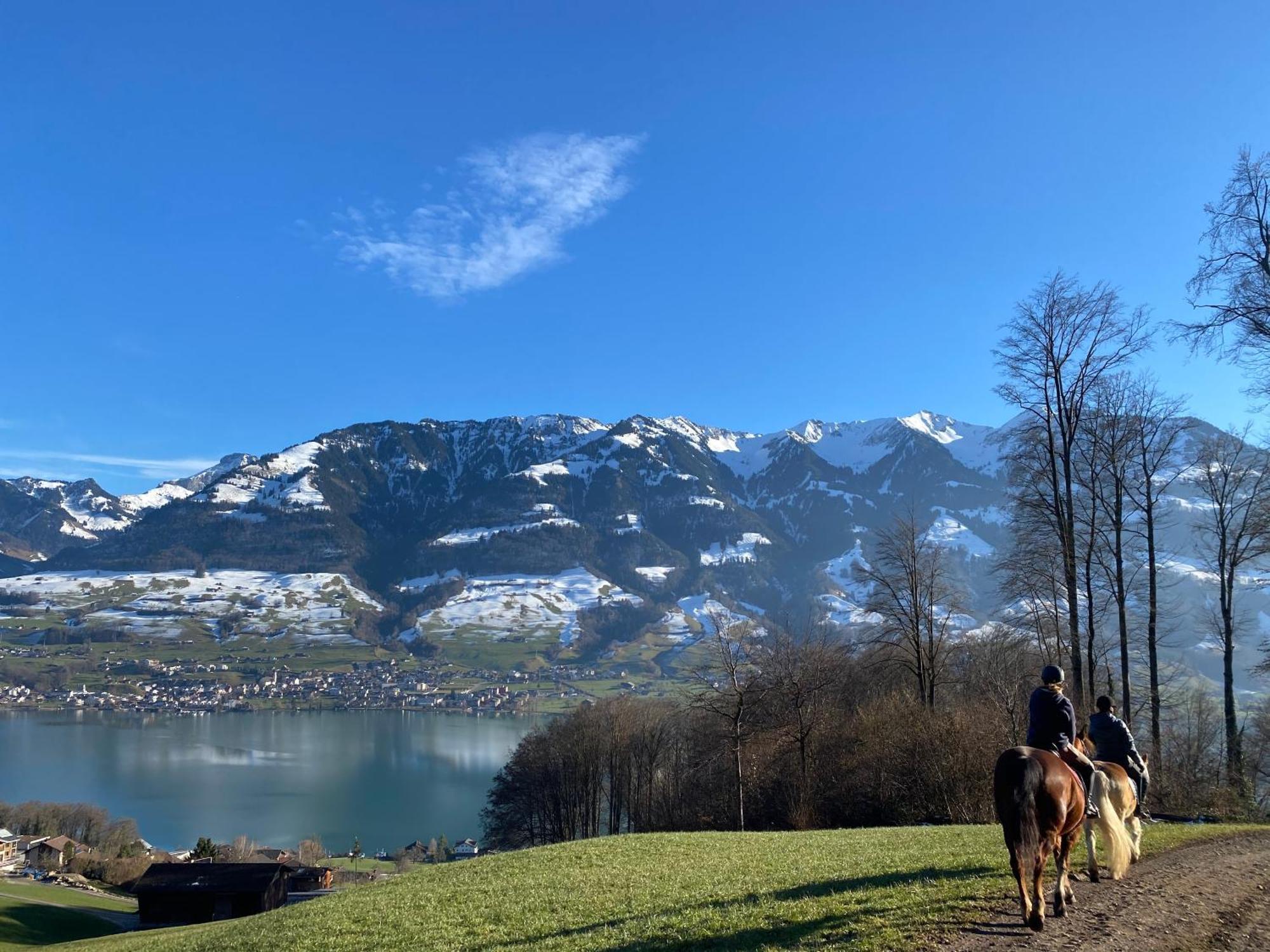 Chalet Seeblick Sarnen Extérieur photo