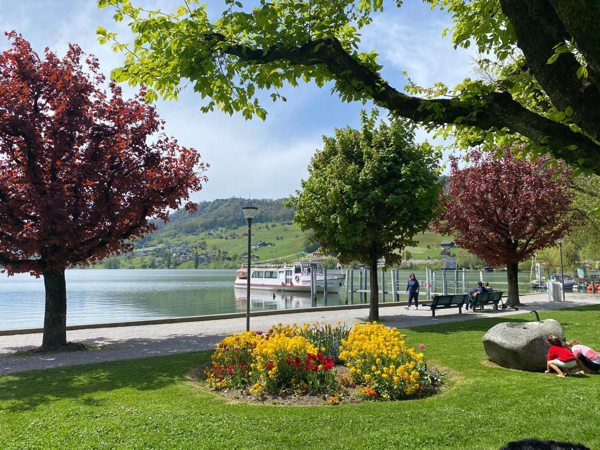 Chalet Seeblick Sarnen Extérieur photo
